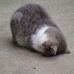 [댓글부탁해] 내 친구들은 왜 돈을 빌려주고 제대로 돌려받지 못하는걸까