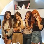 블랙핑크는 단체로 왜들이러지