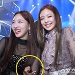 제니 나연 <b>투샷</b> 충격적이다
