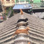 [댓글부탁해] <b>여친</b>있는 짝남 계속 좋아하는거