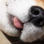 [댓글부탁해] 미국가는 아이<b>돌</b>들