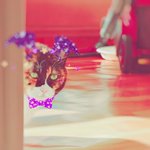 [이것좀봐줘] 다들 하길래 나도 울 냥이 소개합니다
