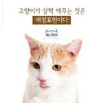 <b>중대</b>vs이대