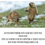 [댓글부탁해] 최고의 기사사진 상 받았대