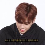 [강다니엘] 강다니엘 고먐미해