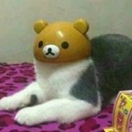오늘 반에서 <b>에어</b>팟 없어졌는데