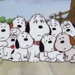 북스탠드 쓰는 친구들아