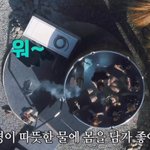 아무리 봐도 홍합탕으로 보이는 <b>방탄소년단</b> 사진