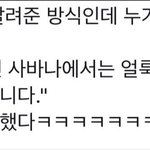 친언니가 알려준건데