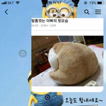 나도 아빠 자랑할래