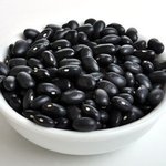 콩끼리<b>만나자</b>