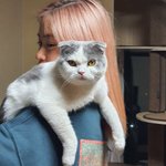 있지 인스타 업뎃