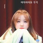 몽실몽실한 '<b>털</b> <b>뭉치</b>' 같은 아이돌