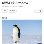 [19] 여기 진짜 메갈 다 됐구나