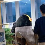 [댓글부탁해] 그러고보니 얘는 <b>목도</b> 없네 뭐냐