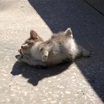 [스압] 나요즘 맨날 연락하는사람 있는데