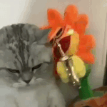 고등학교 버스에서 <b>수작</b> 부리는 거 에바임?