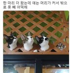 [모두드루와] <b>어뜩</b>하냐고 ㅠㅠㅠㅠㅠ