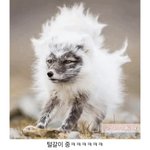 [모두드루와] ㅋㅋㅋㅋㅋㅋ개욱기네