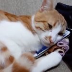 [모두드루와] <b>슬</b>포하지마 ㅜㅠㅠㅠ