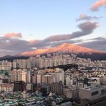 [댓글부탁해] 얘들아 꼭 들어와서 읽어줘 제발