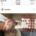 [도와주세요] 강아지를 잡아먹기위해 도끼로 머리를 치고.. 토치로...