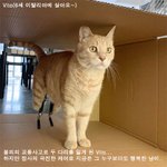 <b>집사</b>의 사랑으로 극복한 시련 ㅠㅠ