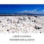 가고싶다 ㅠㅠㅠㅠㅠㅠㅠㅠ