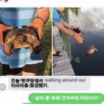 [댓글부탁해] 거북이를 <b>방생</b>해줬다
