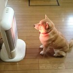 [댓글부탁해] 에어팟 쓰는데 다른 <b>무선</b> 이어폰 추천해줘ㅜㅜ