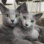 [추반] 댄스동아리 오디션 노래 좀 봐<b>주</b><b>셈</b>