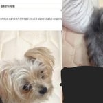 [드루와] 수간하는 <b>한남</b>