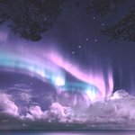 [드루와] 개이쁜 배경화면 <b>사진</b> 공유함 <b>저장</b>ㄱ