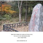 이건 첨 알았다 ㅎ...
