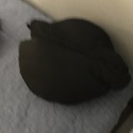 [댓글부탁해] 니네 롱패딩 우예 보관중이냐