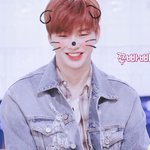 [강다니엘] 오늘 강다니엘 본다❗❗❗