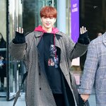 [강다니엘] 정회원 등업신청 공지 떴어