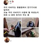 [댓글부탁해] <b>동물원</b>에서 전기기사로 일하시는 아버지