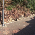 [고양이] <b>집사</b>를 잃어버린 고양이