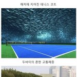 [모두드루와] 기름국가 두<b>바이</b>의 흔한 생활 수준