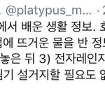 호빵 깔끔하게 찌는 법