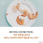 [모두드루와] 새우 <b>머리나</b> 떼면