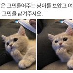 [드루와] 내 친구 <b>내신</b> 3.5인데 중앙대 붙음ㅋㅋㅋㅋㅋㅋㅋㅋ
