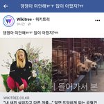 평생 다른 개 피 뽑아주면서 사는 개