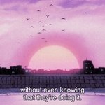 닭발 vs <b>모둠회</b>