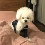 촉 좋은 애들아 들어와바
