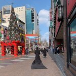 [모두드루와] 서울 한복판에 나타난 수<b>상한</b> 정체