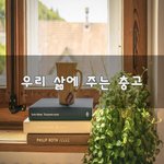[이것좀봐줘] 우리 삶에 주는 충고~