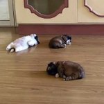 <b>잘</b>때 왜이러고 <b>자</b>?