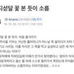 [19] 올해 <b>수완</b>본사람 동지섣달 기억하냐